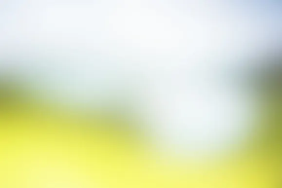 Fortune Casino Supporto